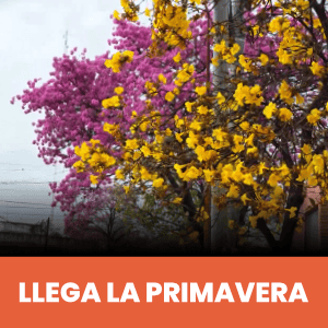 https://laradiodelaciudad.com.ar/wp-content/uploads/2026/10/300x300.gif